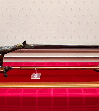 một khẩu súng hơi